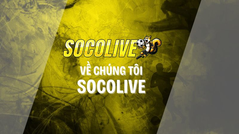 về chúng tôi
